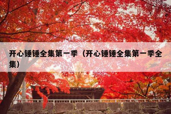开心锤锤全集第一季(开心锤锤全集第一季全集)