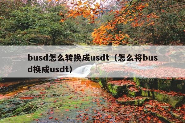 busd怎么转换成usdt(怎么将busd换成usdt)