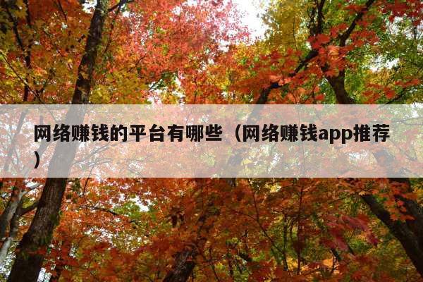 网络赚钱的平台有哪些(网络赚钱app推荐)
