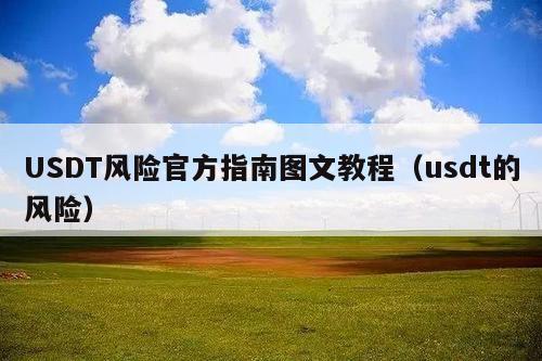 USDT风险官方指南图文教程(usdt的风险)
