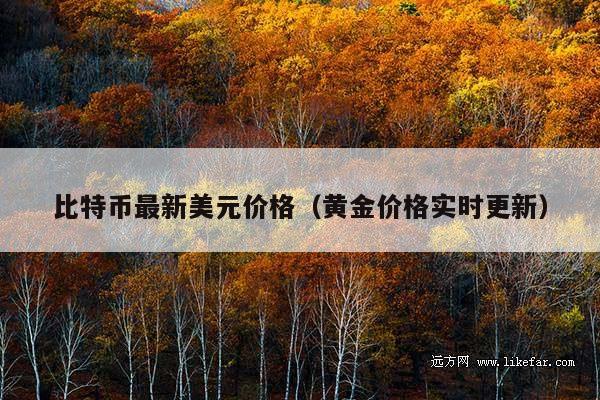 比特币最新美元价格(黄金价格实时更新)