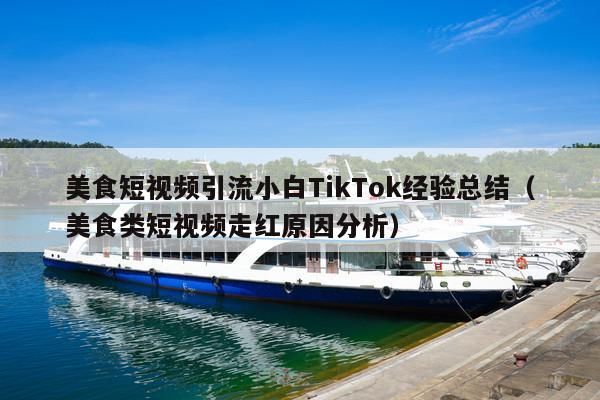 美食短视频引流小白TikTok经验总结(美食类短视频走红原因分析)