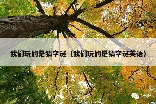 我们玩的是猜字谜(我们玩的是猜字谜英语)