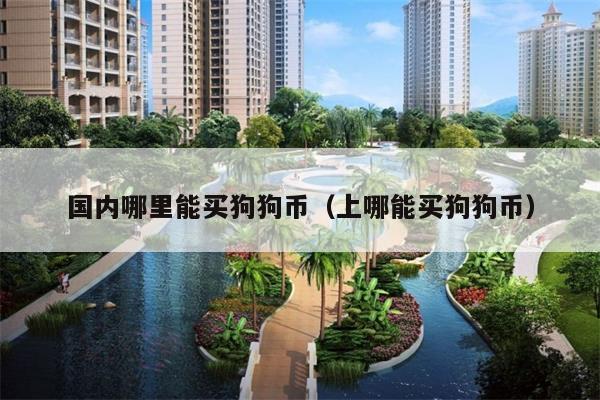 国内哪里能买狗狗币(上哪能买狗狗币)