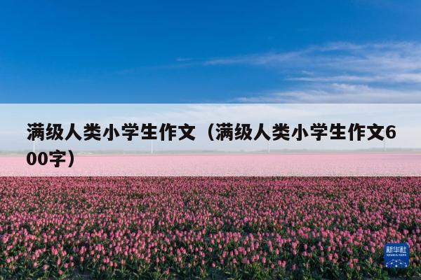 满级人类小学生作文(满级人类小学生作文600字)