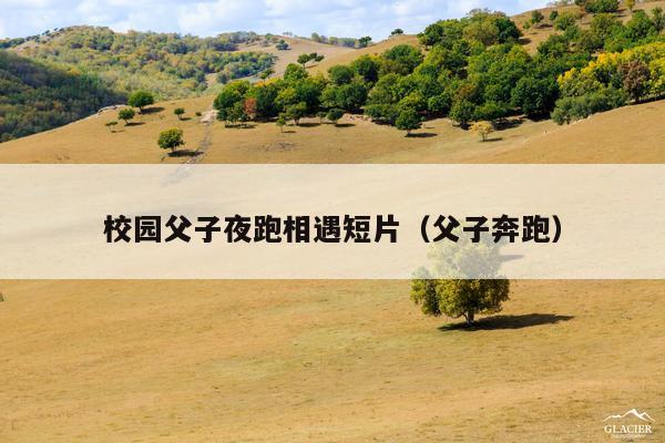 校园父子夜跑相遇短片(父子奔跑)