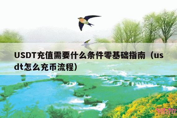 USDT充值需要什么条件零基础指南(usdt怎么充币流程)