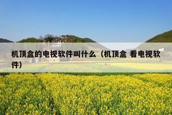 机顶盒的电视软件叫什么(机顶盒 看电视软件)