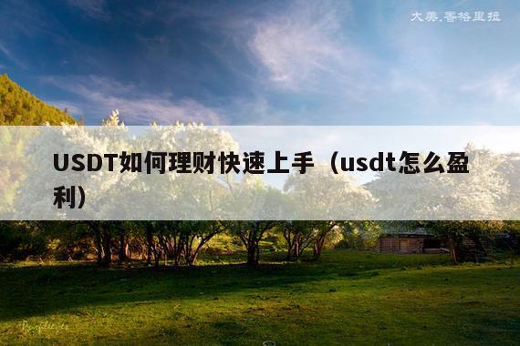 USDT如何理财快速上手(usdt怎么盈利)
