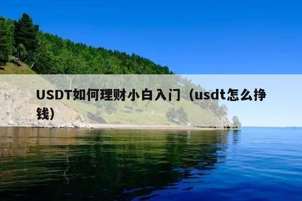 USDT如何理财小白入门(usdt怎么挣钱)