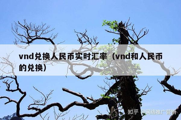 vnd兑换人民币实时汇率(vnd和人民币的兑换)
