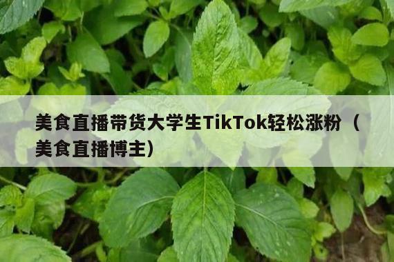 美食直播带货大学生TikTok轻松涨粉(美食直播博主)