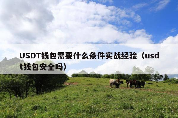 USDT钱包需要什么条件实战经验(usdt钱包安全吗)