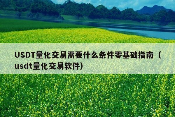 USDT量化交易需要什么条件零基础指南(usdt量化交易软件)