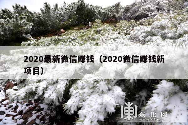 2020最新微信赚钱(2020微信赚钱新项目)
