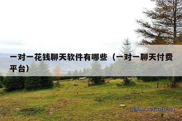 一对一花钱聊天软件有哪些(一对一聊天付费平台)