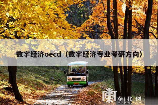 数字经济oecd(数字经济专业考研方向)