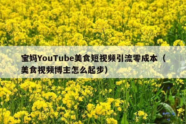 宝妈YouTube美食短视频引流零成本(美食视频博主怎么起步)