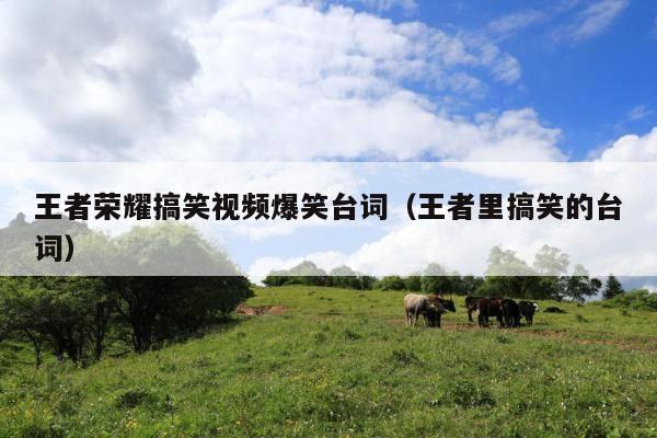 王者荣耀搞笑视频爆笑台词(王者里搞笑的台词)
