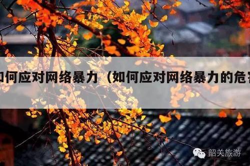 如何应对网络暴力(如何应对网络暴力的危害)