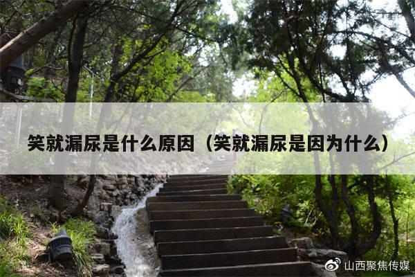 笑就漏尿是什么原因(笑就漏尿是因为什么)