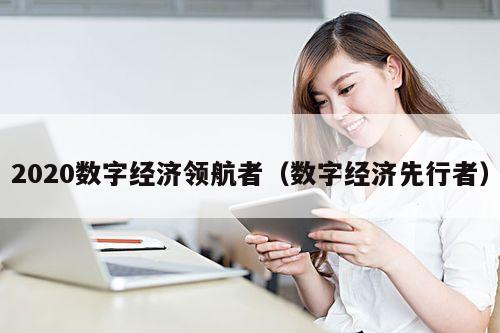 2020数字经济领航者(数字经济先行者)