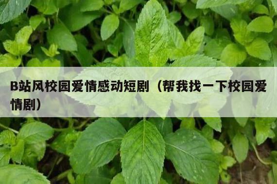B站风校园爱情感动短剧(帮我找一下校园爱情剧)