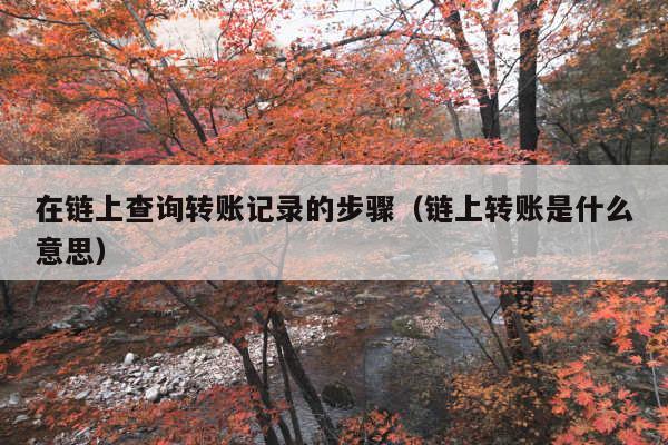 在链上查询转账记录的步骤(链上转账是什么意思)
