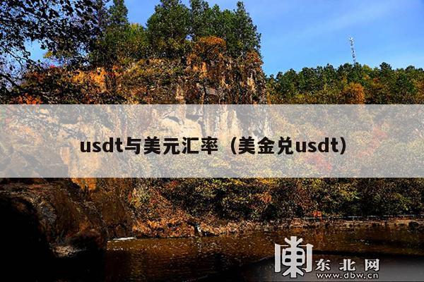 usdt与美元汇率(美金兑usdt)