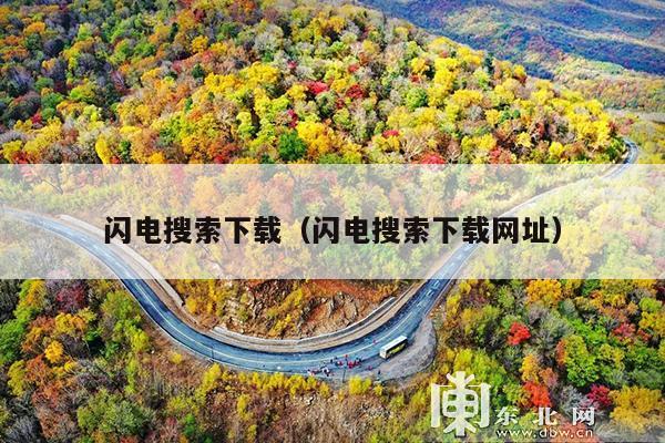 闪电搜索下载(闪电搜索下载网址)