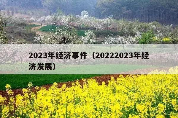 2023年经济事件(20222023年经济发展)