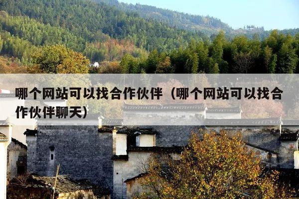 哪个网站可以找合作伙伴(哪个网站可以找合作伙伴聊天)