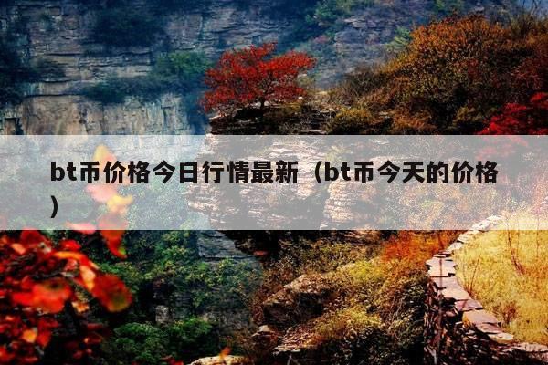 bt币价格今日行情最新(bt币今天的价格)