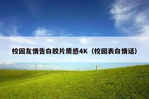 校园友情告白胶片质感4K(校园表白情话)