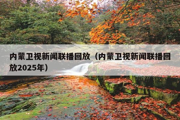 内蒙卫视新闻联播回放(内蒙卫视新闻联播回放2025年)