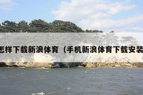 怎样下载新浪体育(手机新浪体育下载安装)