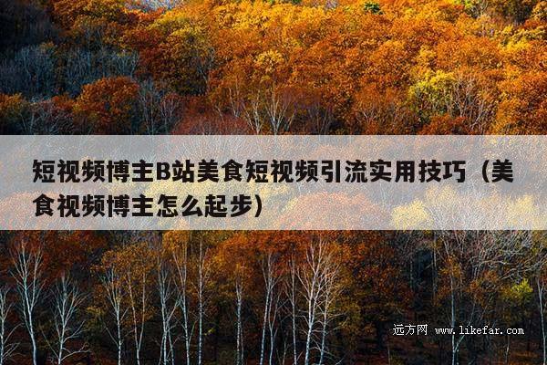 短视频博主B站美食短视频引流实用技巧(美食视频博主怎么起步)