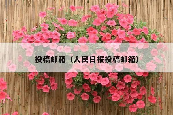 投稿邮箱(人民日报投稿邮箱)