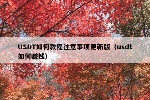 USDT如何教程注意事项更新版(usdt如何赚钱)