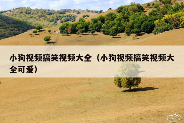 小狗视频搞笑视频大全(小狗视频搞笑视频大全可爱)