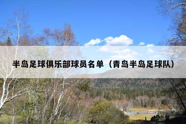 半岛足球俱乐部球员名单(青岛半岛足球队)