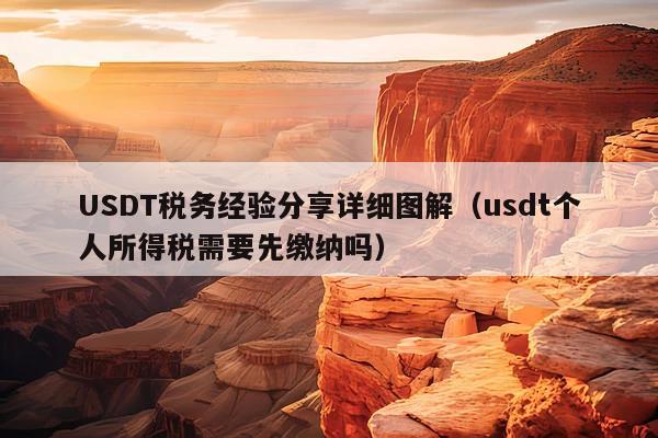 USDT税务经验分享详细图解(usdt个人所得税需要先缴纳吗)