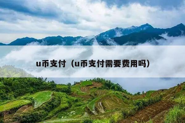 u币支付(u币支付需要费用吗)