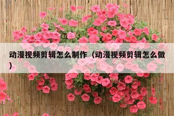 动漫视频剪辑怎么制作(动漫视频剪辑怎么做)