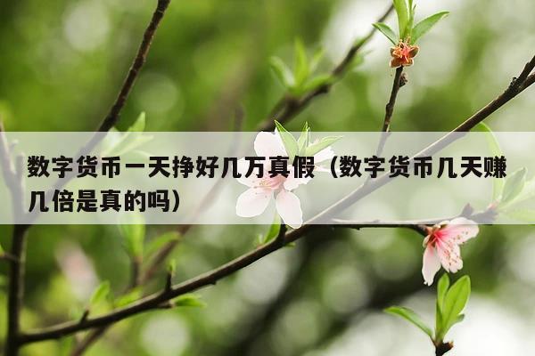 数字货币一天挣好几万真假(数字货币几天赚几倍是真的吗)