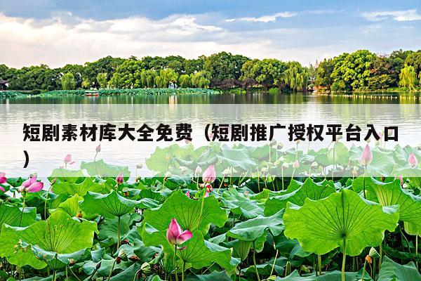 短剧素材库大全免费(短剧推广授权平台入口)