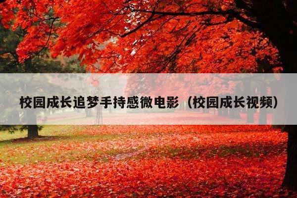校园成长追梦手持感微电影(校园成长视频)