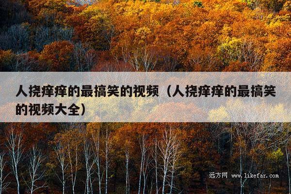 人挠痒痒的最搞笑的视频(人挠痒痒的最搞笑的视频大全)
