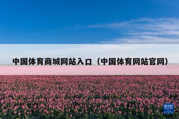 中国体育商城网站入口(中国体育网站官网)
