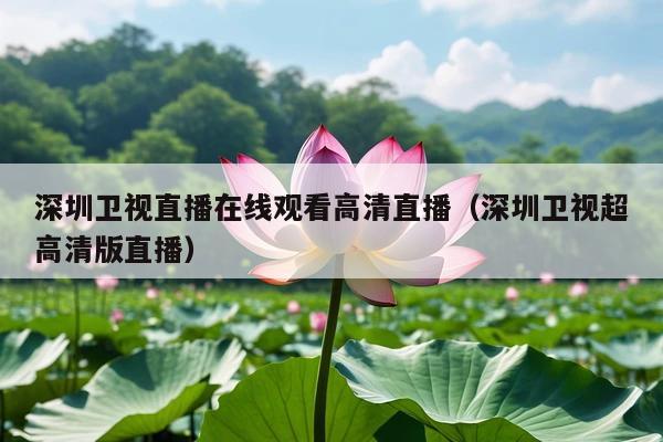 深圳卫视直播在线观看高清直播(深圳卫视超高清版直播)